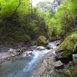 Zagori ( Zagorochoria ), Ioannina, Epirus, Greece